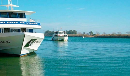 CRUCEROS CON MARISCADA A BORDO EN EL DELTA Y EXPOSICIÓN DE BONSÁIS